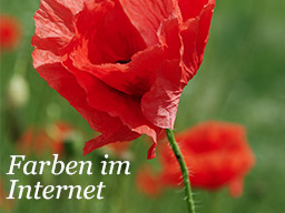 Farben-im-Internet_Titel